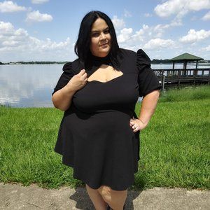 Plus Size Puff Sleeve Skater Dress